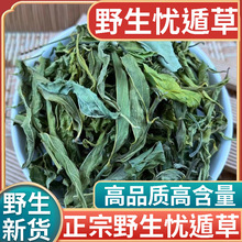 正品野生忧遁草新货中药材500g正宗新鲜忧遁草纯叶干叶忧遁草茶叶
