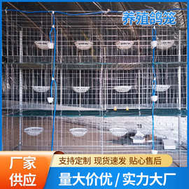 厂家直销鸽笼鸽子笼钢丝镀锌3层12位养殖鸽笼子