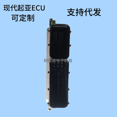 Ecu 39136 (39106)-2G060 – Engine assembly