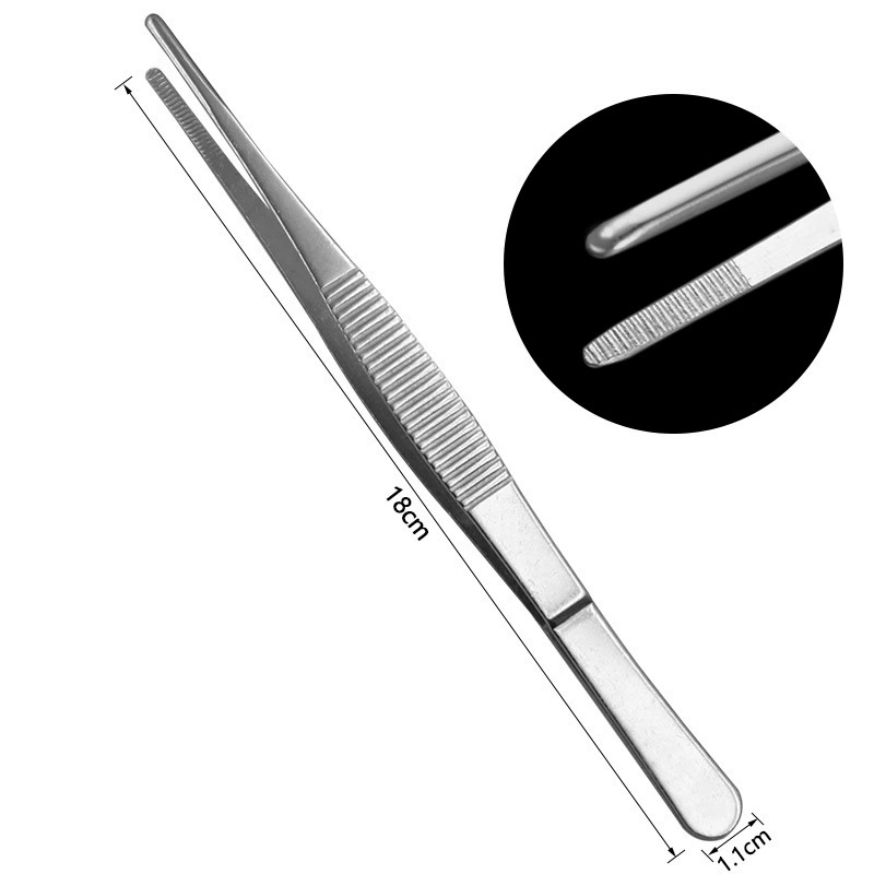Stainless steel tweezers, thickened tweezers with round head, toothed tweezers, straight elbow clamp, garden landscape clamp