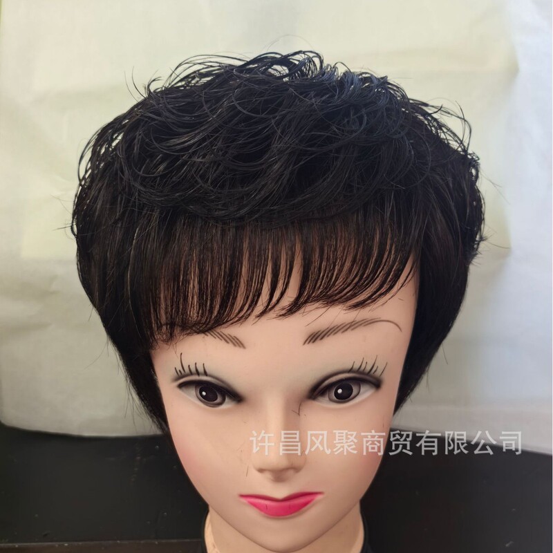 Short Hair Wig for Women, Made of Real Human Hair, Full Head Wig for Middle-Aged and Elderly Ladies, Natural and Stylish Full Head Wig