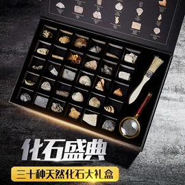 水晶工艺品;宝石工艺品;标本