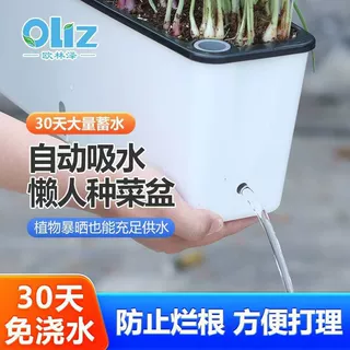 欧林泽长条窄边种菜盆专用花盆双层带透气耐用加厚种植箱懒人花盆