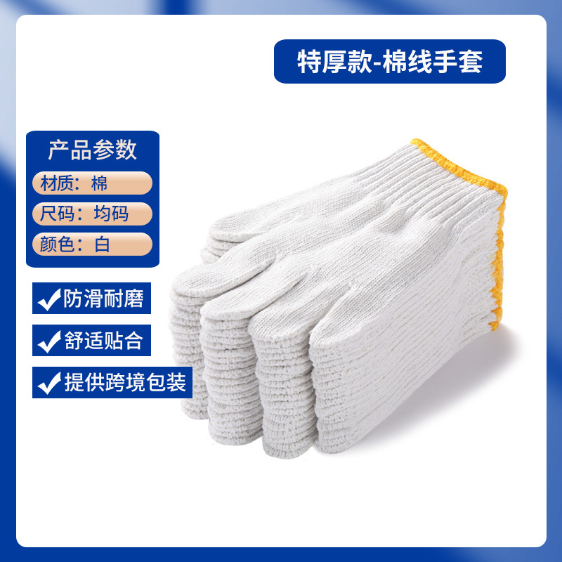 A등급 갓 면 800g 임의 가장자리