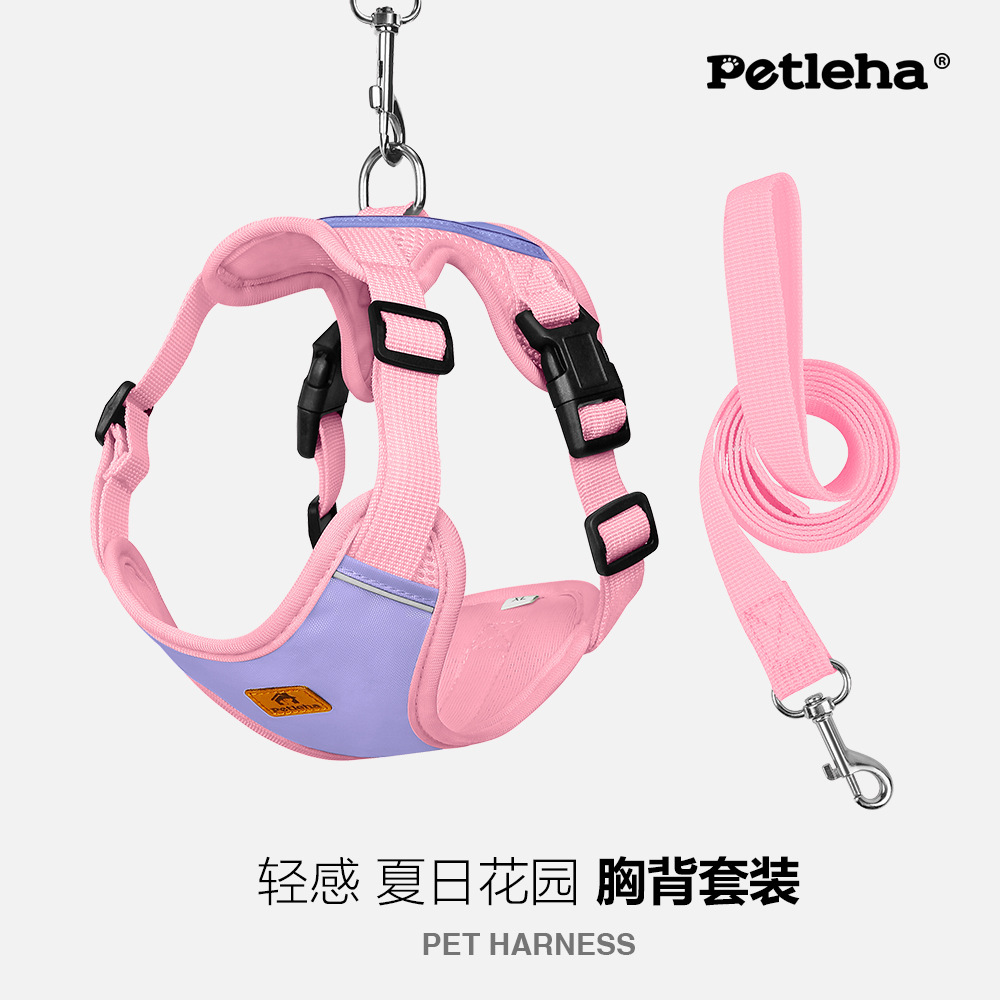벚꽃 비