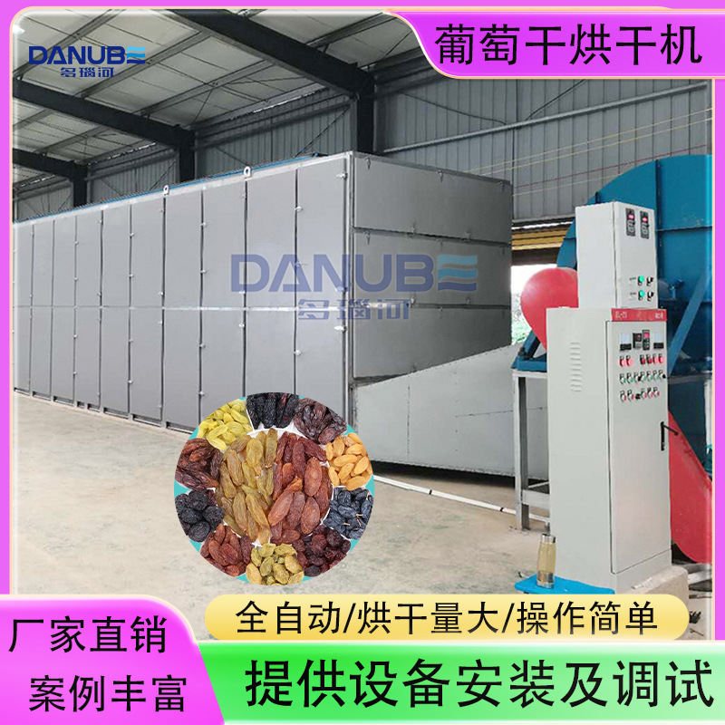 Fully Automatic Raisin Dryer Continuous Xinjiang Raisin Black Currant Special Green Cleaning and Drying Equipment Fully Automatic Raisin Dryer Continuous Xinjiang Raisin Black Currant Special Green Cleaning and Drying Equipment