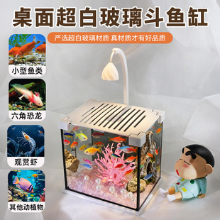 �¿�ײ������涷�~�׼���С�����B�쾰�׾W�t����÷�����ײ͸�