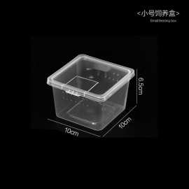 lk寄居蟹盒睫角跳蛛饲养箱跨境爬虫箱爬行动物螳螂人渣饲养盒养蚕