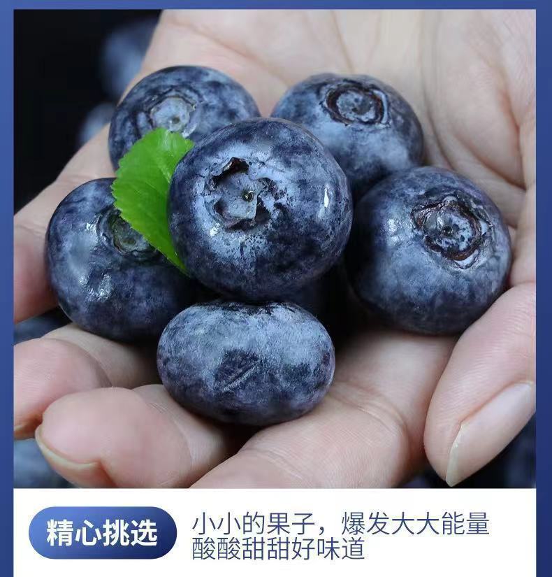 a53e9989-3650-4662-a8a2-0d8e4c6db6e8.jpe