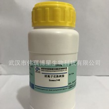 xӽQ֬ Dowex1*8 38-75um