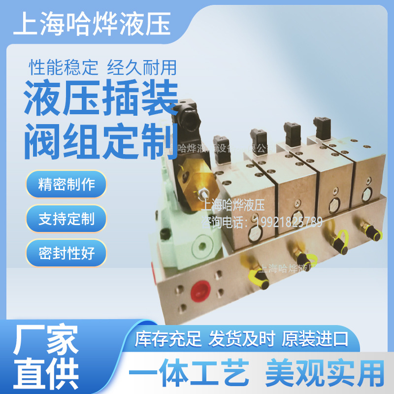 供应各种液压插装阀组 多路阀组  来图设计        上海哈烨液压