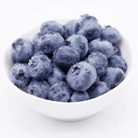 山东蓝莓新鲜采摘现摘现发甜顺丰包邮蓝莓一件代发