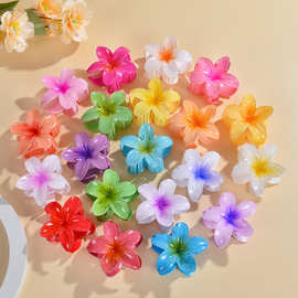 跨境亚马逊紫荆鸡蛋花朵发夹女后脑勺盘发抓夹鲨鱼夹发卡饰品发饰