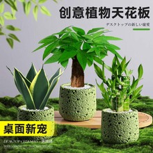 �lؔ���������愓��ֲ��[���k���҃Ȼ��ܾGֲ���FҬ�ӾG�}С�辰