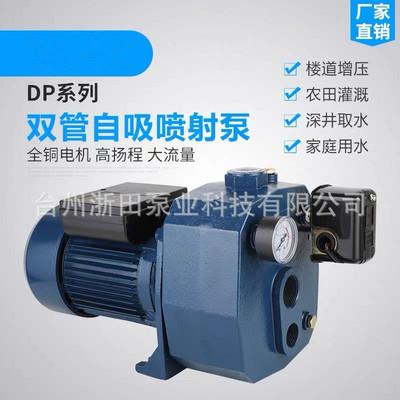 双管自吸泵高吸程高扬程家用增压泵全自动自吸泵深井抽水泵吸程30|ru