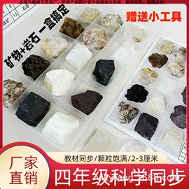 宝石工艺品;石膏工艺品;标本