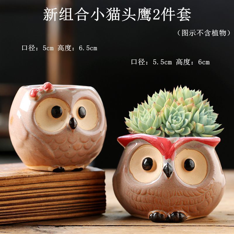 Maceta decorativa con diseño cartoon