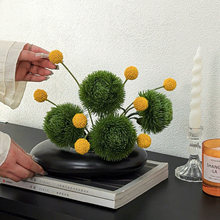 ����Gʯ���辰����Gֲ���^��ˇ�b[����ֲ��Gë��G�����쾰