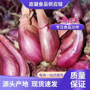 ���ڼt�[�^���[�^���[�^���[�^�N�����rС�[�^�Ĵ��r���ԷNС���[