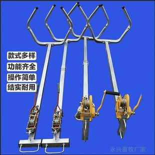 �Ӻ�ţ�����aĸţ�y�a�������a��ţ�ò��P����a����ţ���a��ͨ��