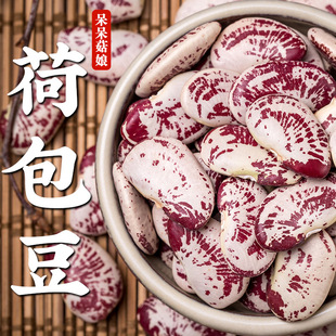 �ɰ���1/2/5�� �����I�����R�ⶹ���i�������u���������ּZa