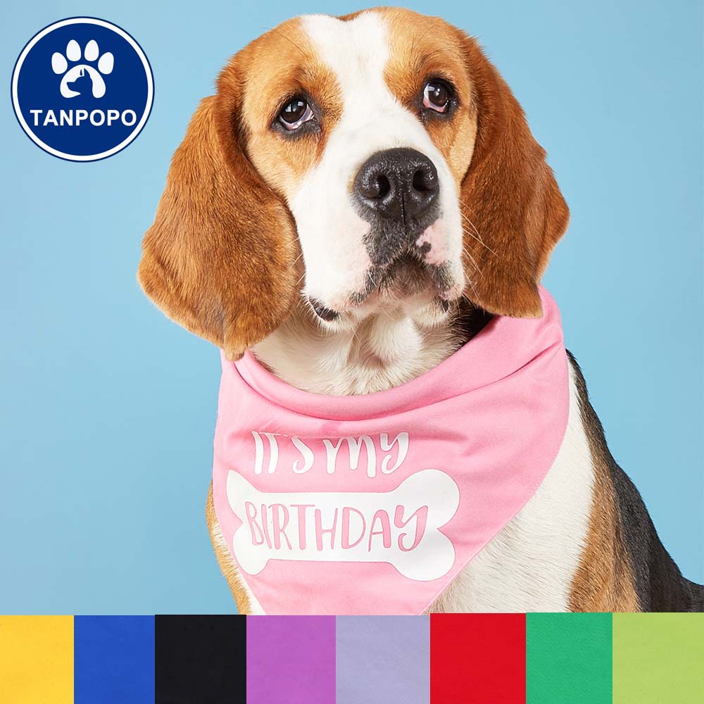 Tanpopo transfronterizo perro cumpleaños triángulo cumpleaños toalla mascota cumpleaños saliva toalla mascota bufanda babero