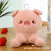 Piggy