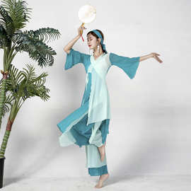 古典舞汉唐舞练功服女大袖服装中国舞舞蹈飘逸演出服身韵纱衣套装