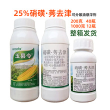 ���ǲ�ͪݬȥ�� ���������݄� ���׵������݄� ����ݬȥ��