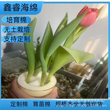 �~������̶����L ���纣�d  �̨�o������N�� ˮ�ຣ�d���񺣾d