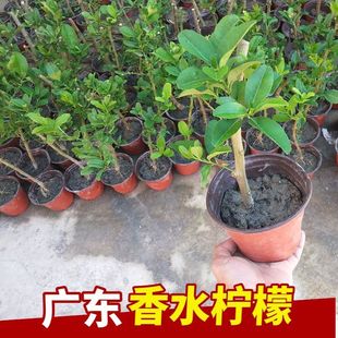 ˮʘԎ҃ȿ͏dͥԺ̨ļ_Y