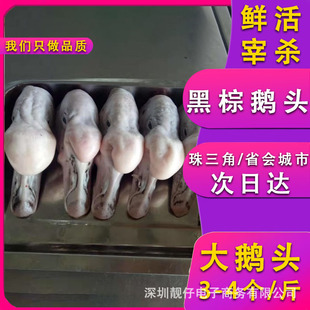 ���r�����Z��̖�Z�^���Z�^���r����Z؛����Z�^�uζʳ�����r����