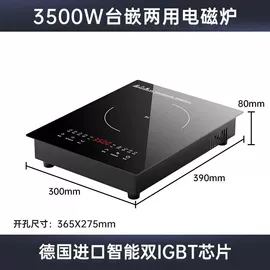 电磁炉;其他厨房电器;泳池水处理