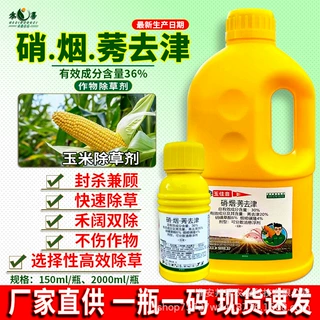 玉佳音硝烟莠去津玉米田苗后除草剂稗草牛筋草杂草专用农药批发