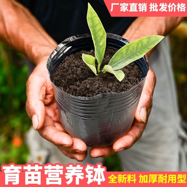 Nutrition Cup Nursery Cup Disposable Black Nutrition Cultivation Bag…