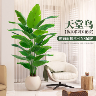 Fake Green Plants, Large Artificial Plants, Floor-Standing Traveler's Banana, Bird of Paradise Bonsai, Interior Decoration Potted Ornaments, Tree Wholesale
