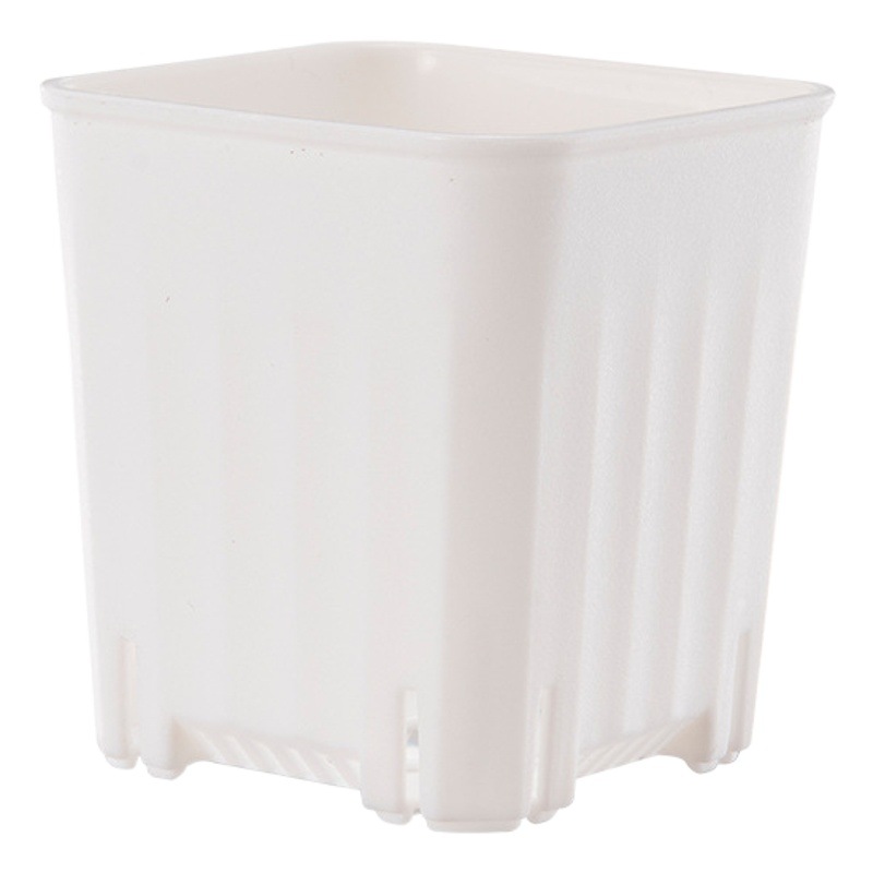 Maceta cuadrada pequeña y gruesa para suculentas