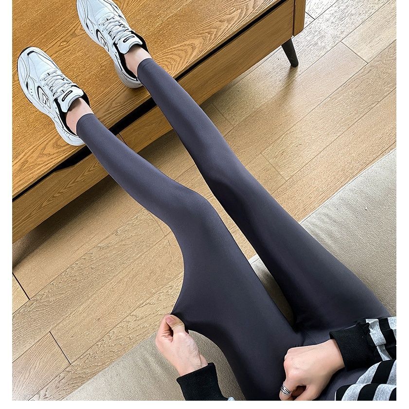 크롭 샤크 팬츠 그레이