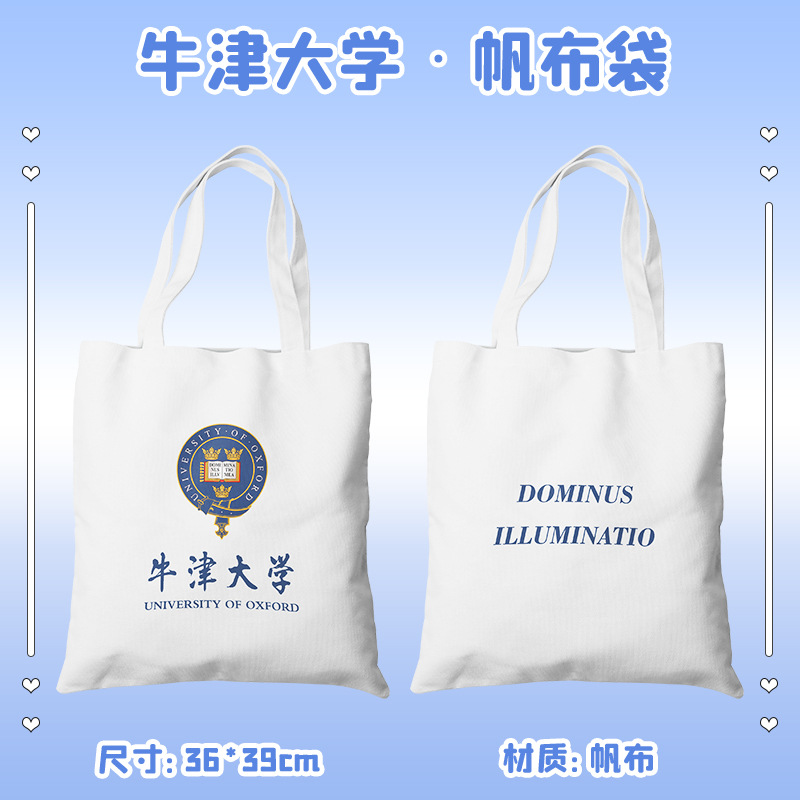 牛津大学周边帆布包名校帆布袋学生上学手提包女单肩包书