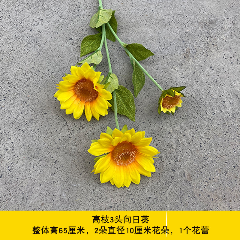 3개의 머리가 있는 키가 큰 해바라기 - 노란색