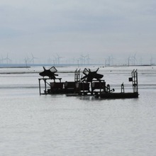 出口 食用盐 工业盐韩国日本东南亚高原盐青海可可茶卡高原湖盐氯