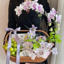 ��ʽˮ���@ˮ���ֹ��������ٻ��@�پ���ˇ�廨�@�Ӳ˻@�Ӽ��ֹ�