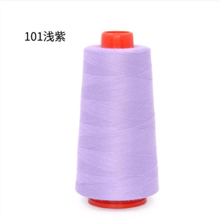 라이트 퍼플 101