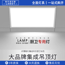 集成吊顶led灯厨房浴室厕所卫生间吸顶灯面板灯天花 嵌入式铝扣板