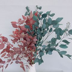 北歐家居裝飾秋色蘋果葉大葉尤加利葉乾花永生花美發櫥窗新婚乾花