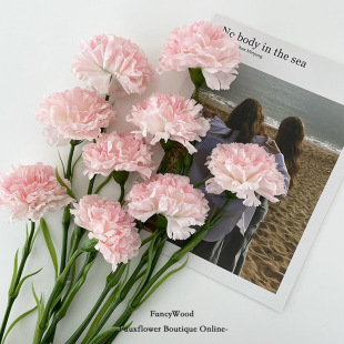 �����Ʒ�|���^�����ָп���ܰ ��ˇ�OӋ ���յ��� ������diy����