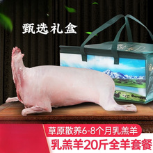 羊肉新鲜全羊整只20斤冷冻手抓羊肉羊排羊腿火锅烧烤食材烤肉礼盒