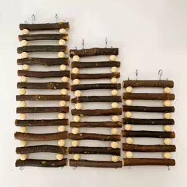 其他小宠用品;鸟类;仓鼠