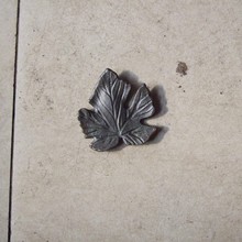 �����Fˇ�_����\�_�����~���Fˇ�T�F����� �T������~��