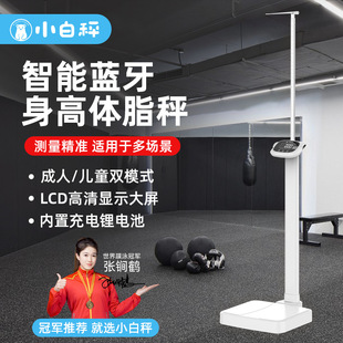 Small White Scale Height and Weight Measuring Instrument All-In-One Children's Kindergarten Physical Examination Smart Electronic Scale Weight Scale Manufacturer